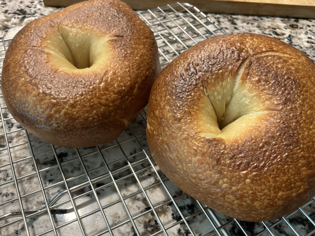 Fresh-baked bagels cooling on the rack